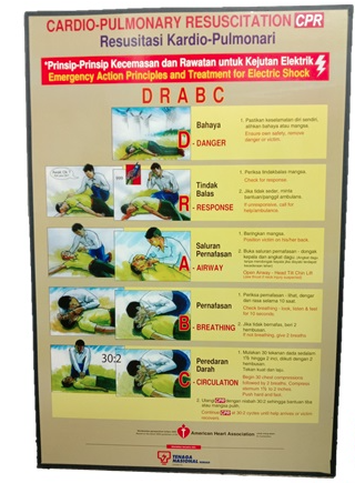 OEM 20? X 30.5? CPR CHART – DRABC