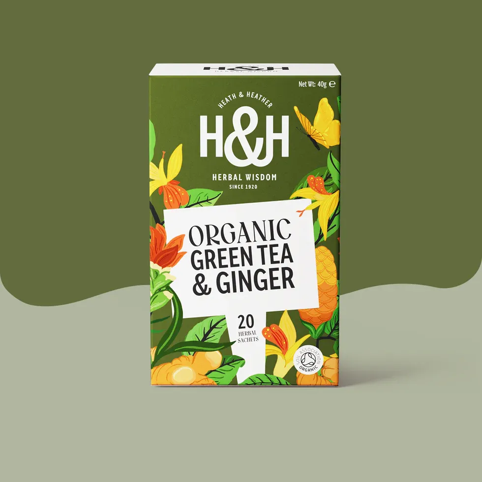 H&H Organic Green Tea With Ginger x 6