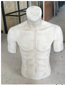 Mannequin Male Half body Hook