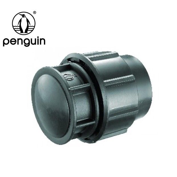 OEM Polyethylene HDPE END CAP 50MM