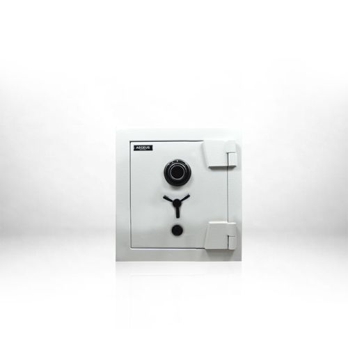 AEGIS S2 Home Safe Deposit Box