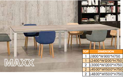 OFIS CONFERENCE DISCUSSION SERIES MAXX SERIES