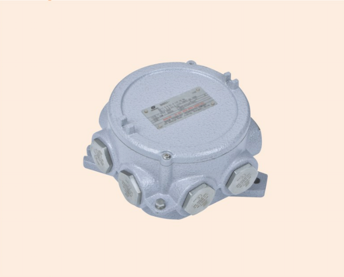 WAROM Ex-proof Juntion Box Model BHD91-D/M20X1.5