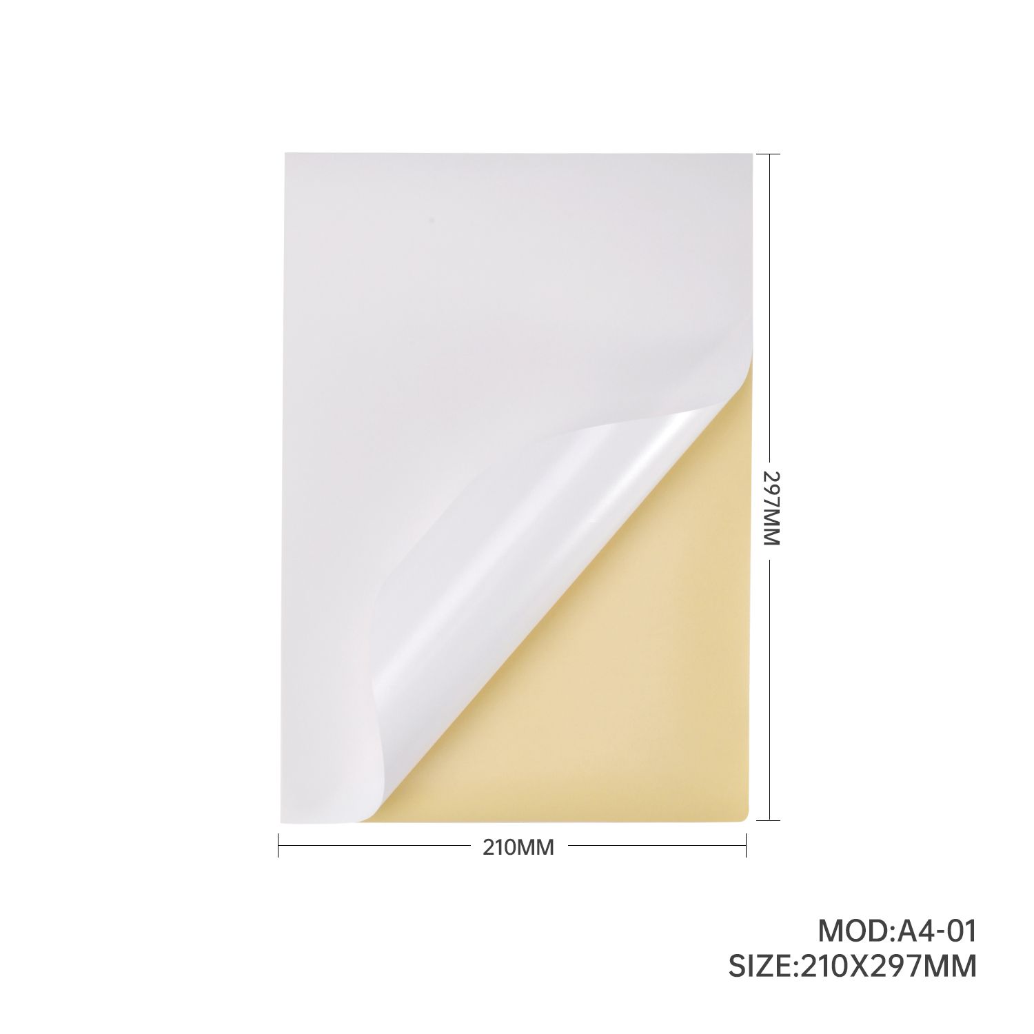 A4 Colour label sticker 210 x 297mm FREE DELIVERY *