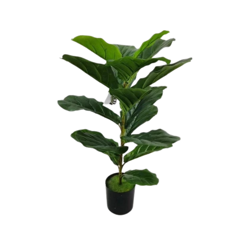 OEM Artificial Ficus Lyrata Fiddle-Leaf Fig Tree 70CM
