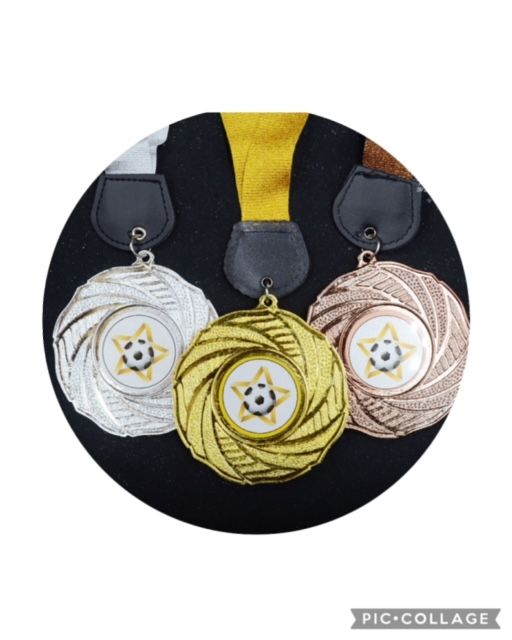 QS Medal Plastic