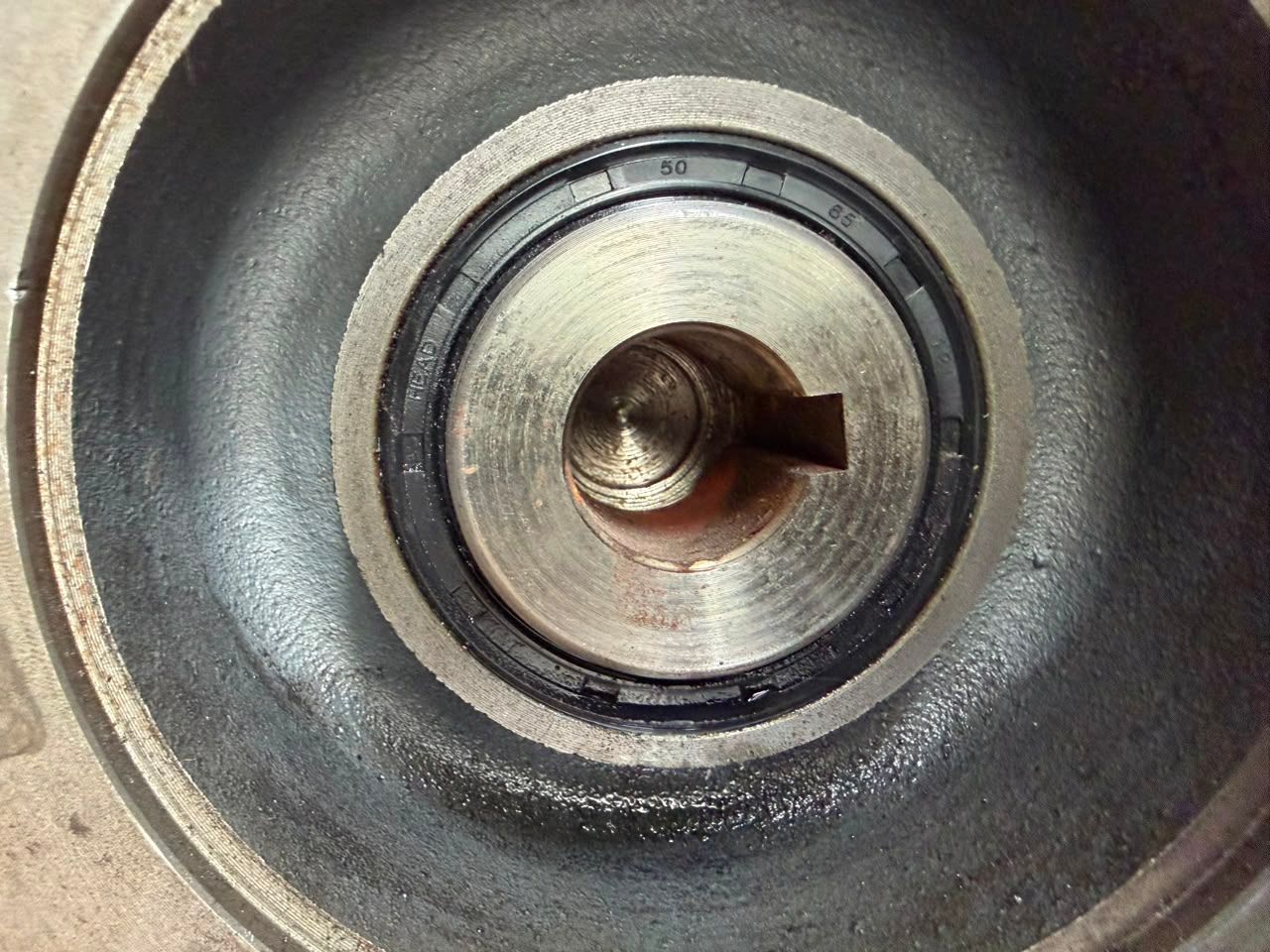 Oil seal