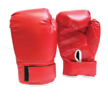 DESIRE GYM Boxing Gloves