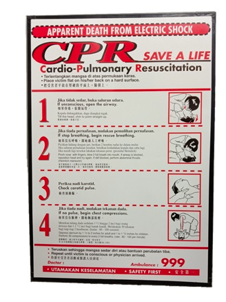 OEM 16? X 23? CPR CHART C/W FRAME