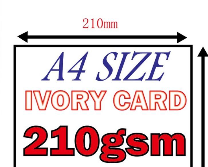 QS Ivory card A4 Size 210gsm/100pcs