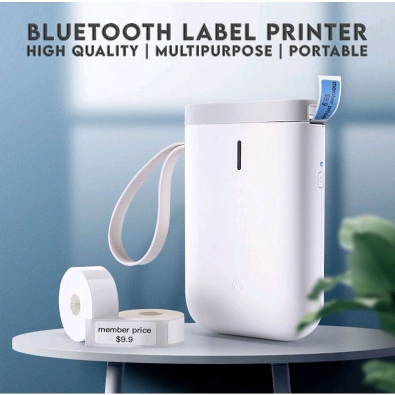 NIIMBOT D101 Wireless Bluetooth Thermal Label Printer