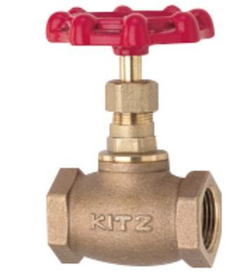 KITZ Bronze Globe Valve, 1" NPTF, Model C, 200psi