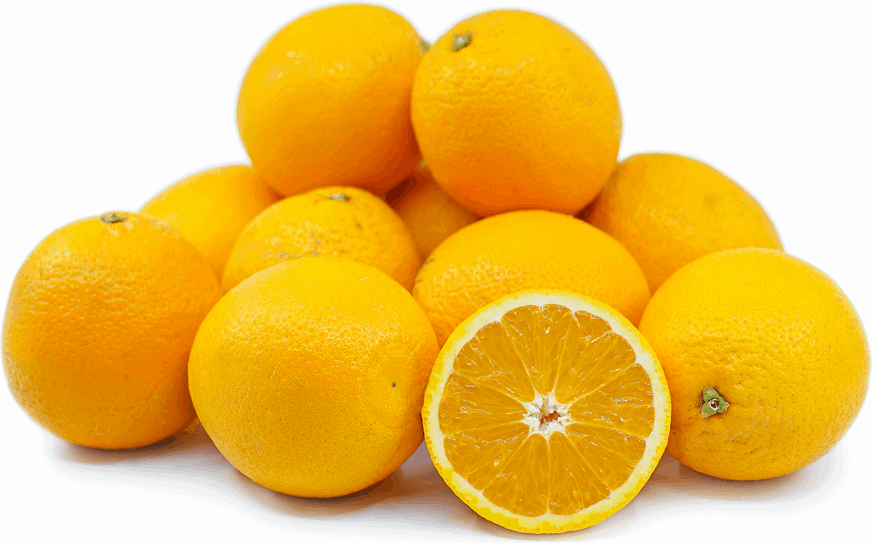 Egypt Valencia - Orange Per Pcs