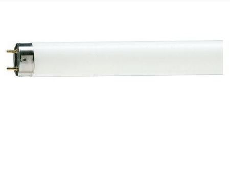 PHILIPS *PHILIPS FLUORESCENT TL-D 18W/54-765 1SL/25 4ft (30tube per box)