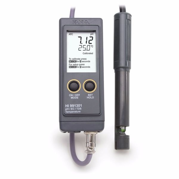 Hanna Instruments *Hanna Instruments HI 991301 pH Meter Waterproof Multi-Parameter, Single Probe Water Testers