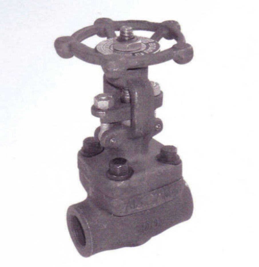 Arita Forged steel Gate Valve Class 800