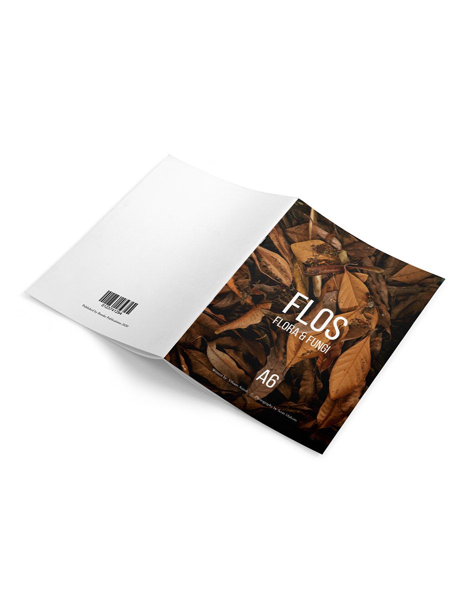 OEM A6 Booklet Brochure Printing [10s]