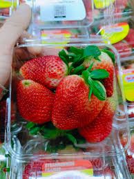USA Strawberry 1x12pkt