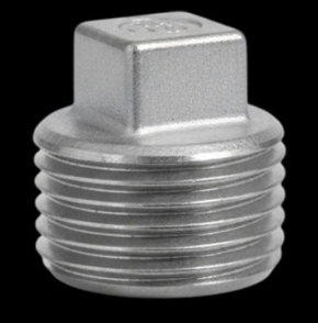 Stainless Steel Fittings Square Plug 3/4"