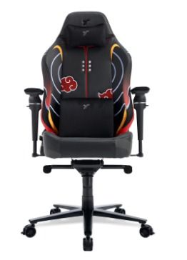 TTRacing Maxx Gaming Chair -  Pain Edition