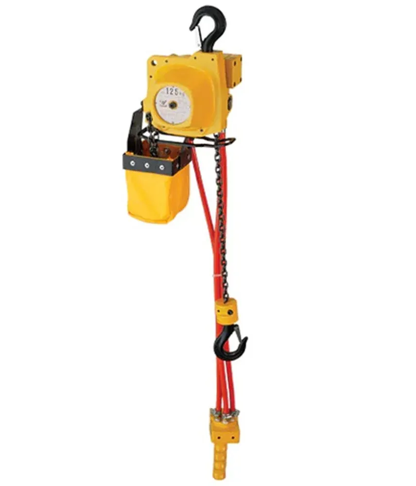 AIR HOIST EHL-025TS PCS-1, Endo-250Kg