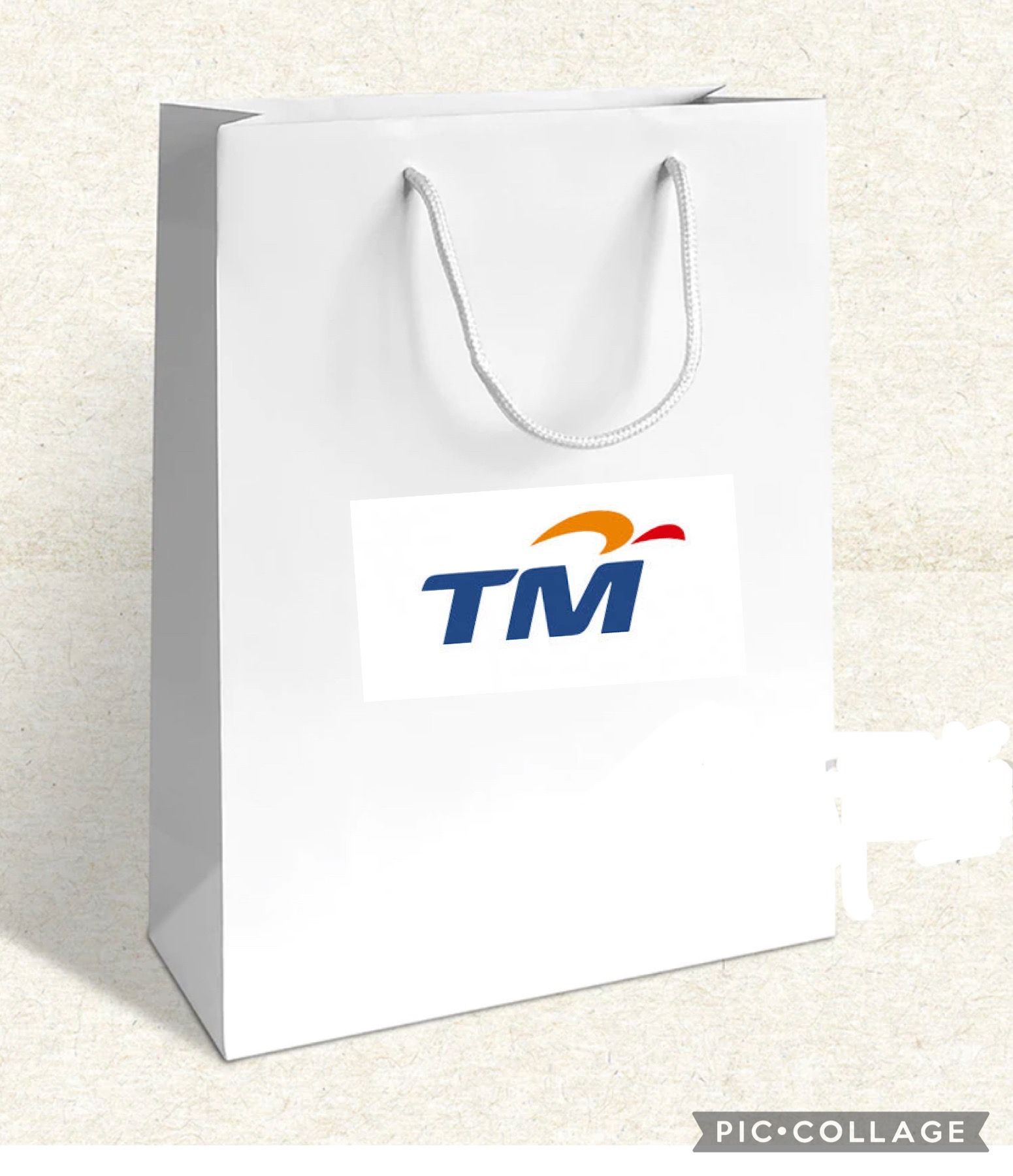 QS Plain White Paper Bag With TM Logo Size A4