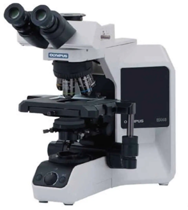 Olympus Microscope BX43 LED with Phase Contrast and Tilting Head