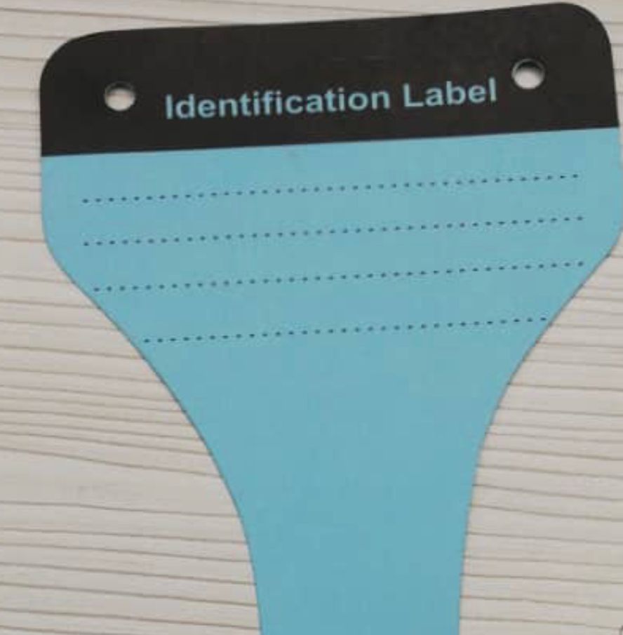 Tokai Index Card