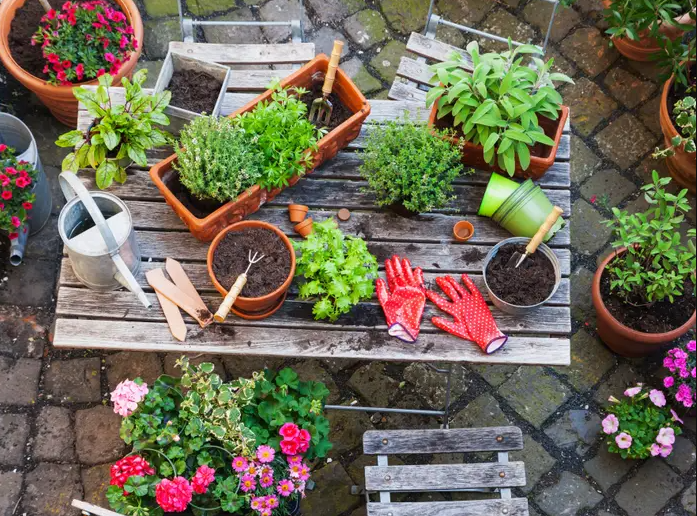 MMU Melaka Campus Basic Gardening Set