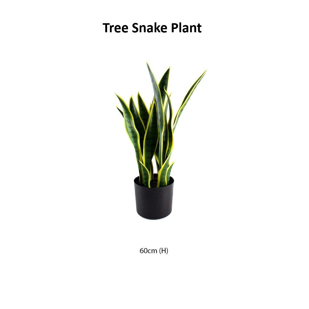 Artificial Plant Skybird / Palm Tree / Eucalyptus Tree Money / Snake Plant / Fiddle Fig Tree