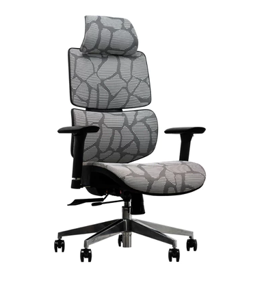 ErgoX VIS Ergonomic Chair Mesh Material Ultimate Breathable Comfort ErgoX Kerusi Ergonomis Computer Chair Adjustable Lumbar