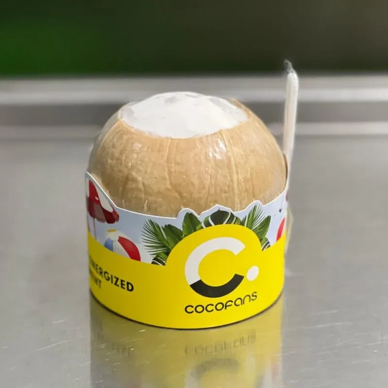 Fresh Coconut Semi Polished White Pulp (Event 450 Pax)