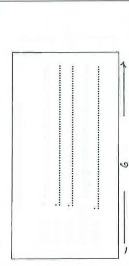Stamp Chop 50x30